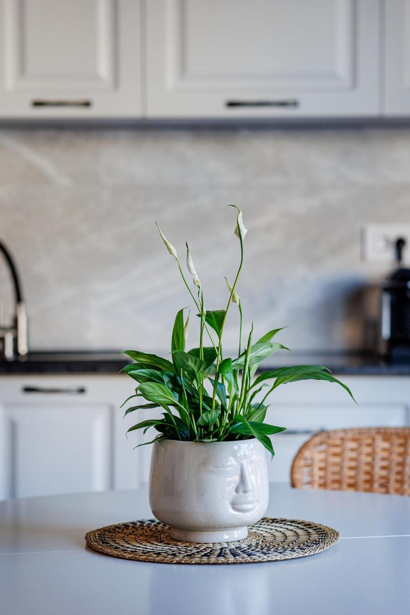 The Corner Luxe Apartment بوخارست المظهر الخارجي الصورة